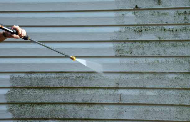 Best Pressure Washing Contractors  in Springfield, GA