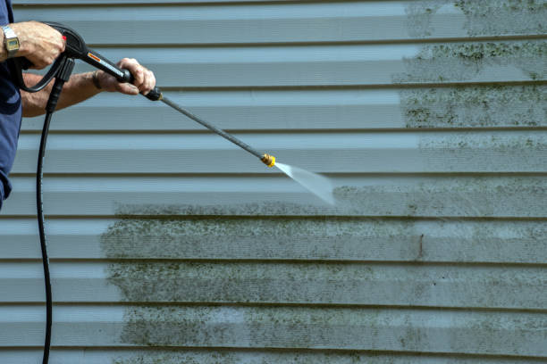 Best Roof Power Washing Services  in Springfield, GA